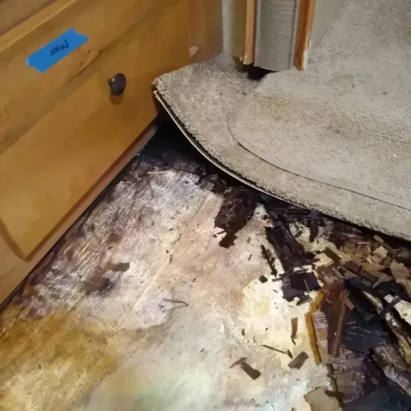 Best Wood Floor Water Damage Service in Toledo, OR